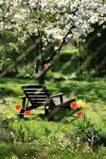 Reinforce mental relaxation with a daily meditation practice.